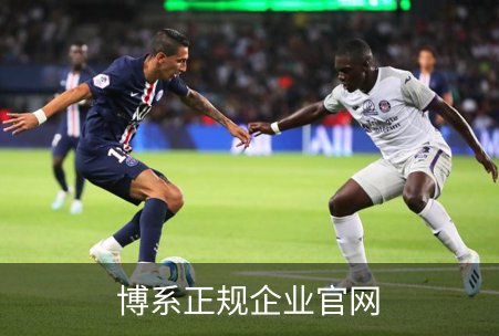 博系正规企业官网简介