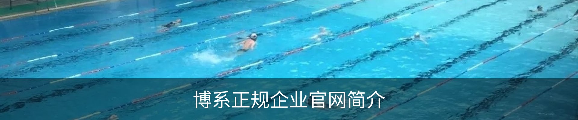 博系正规企业官网简介